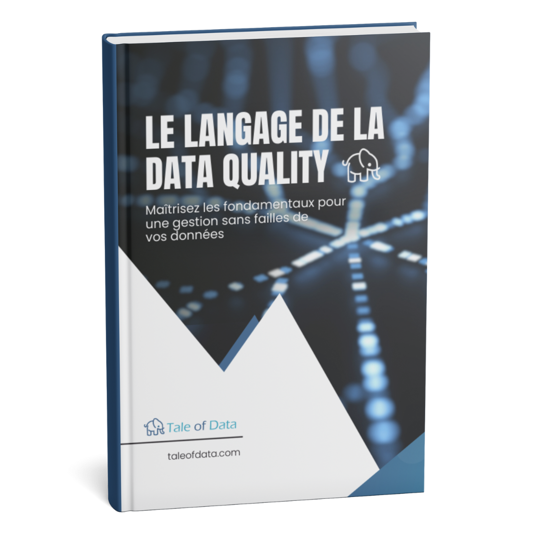 visuel couverture du glossaire le langage de la data quality tale of data