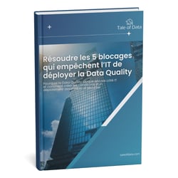 resoudre blocage Data Quality IT