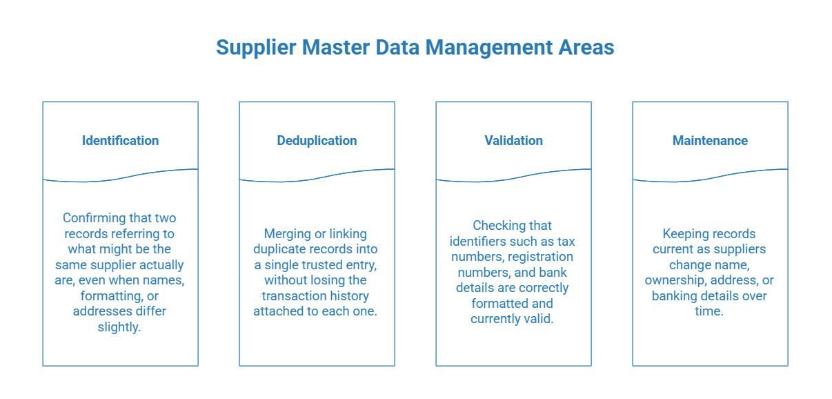 Supplier Master Data Management Areas